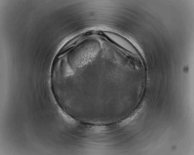 X0000100970845200807151349