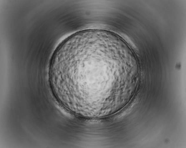 X0000100970846200807151349