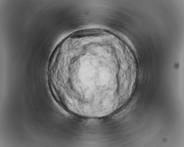 X0000100970847200807151349