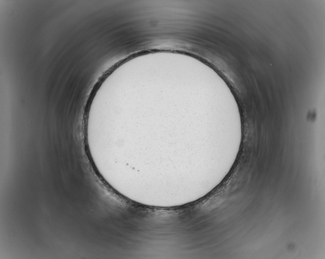 X0000100970848200807151349