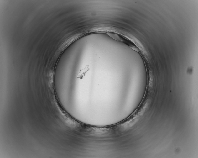 X0000100970849200807151349