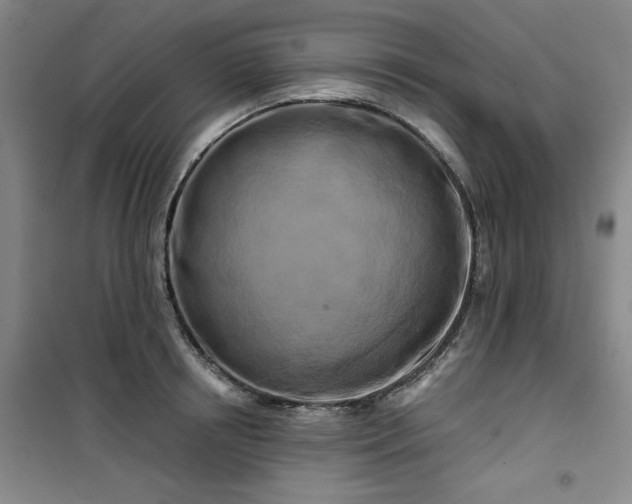 X0000100970850200807151349