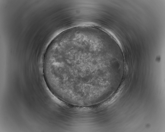 X0000100970851200807151350