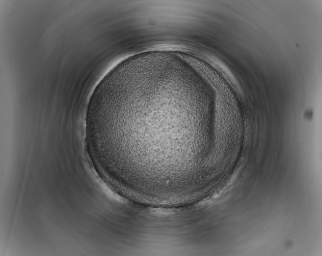 X0000100970852200807151350