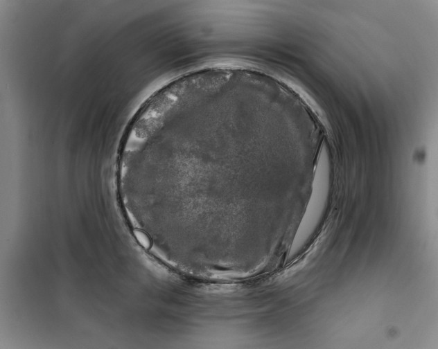 X0000100970853200807151350