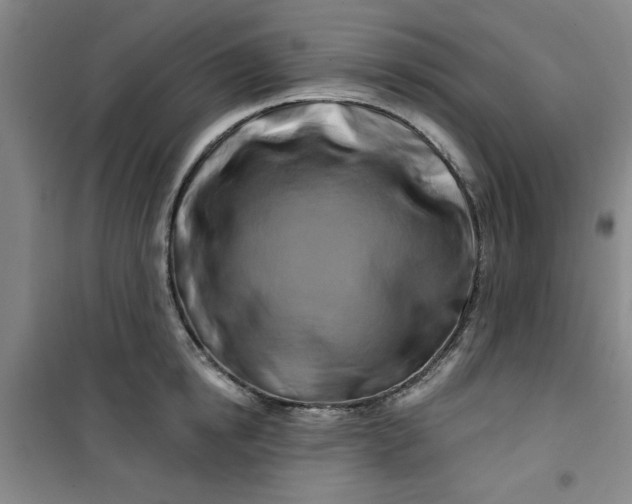 X0000100970854200807151350