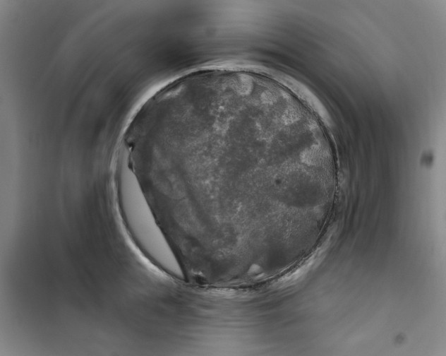 X0000100970855200807151350