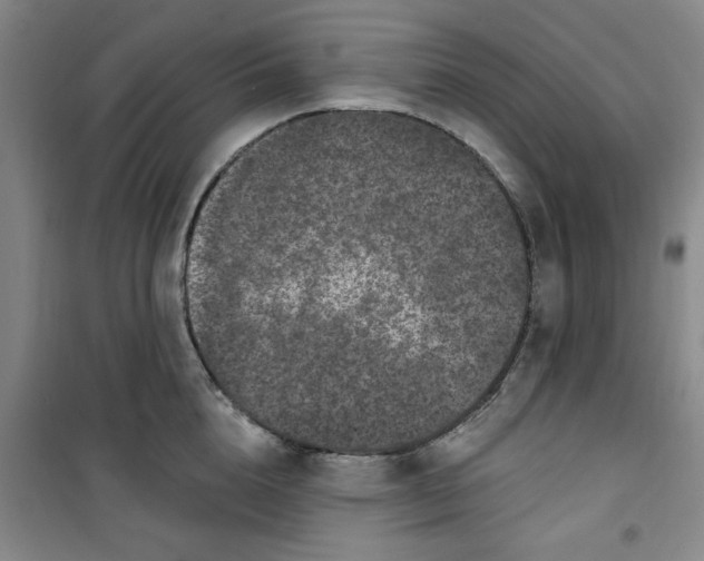X0000100970856200807151350