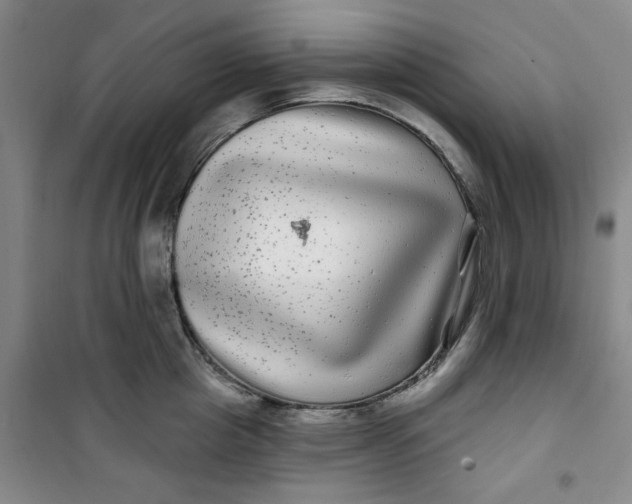X0000100970857200807151350