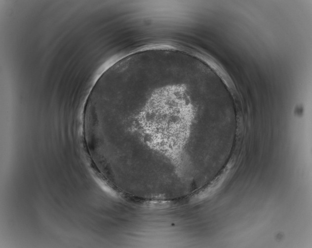 X0000100970858200807151350