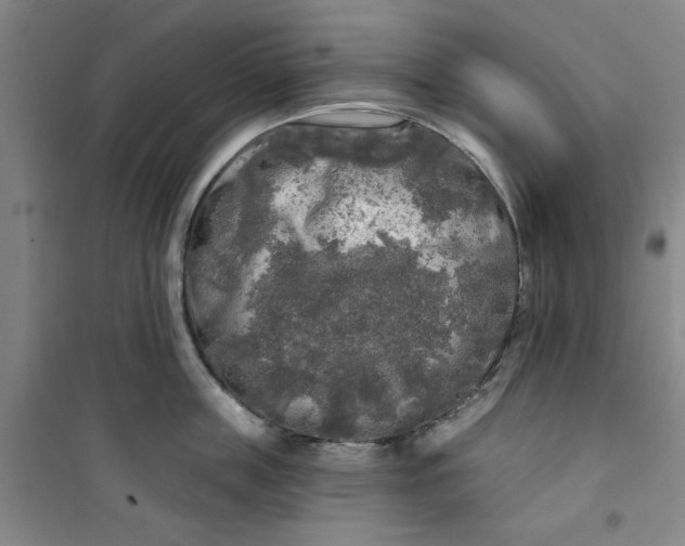 X0000100970859200807151350