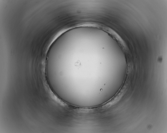 X0000100970860200807151350