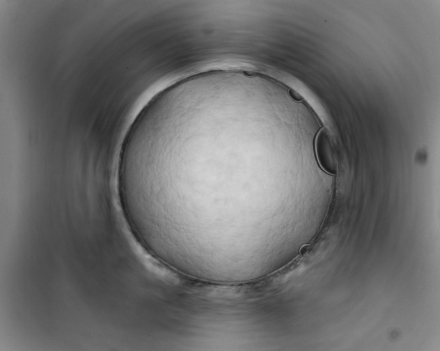 X0000100970861200807151350