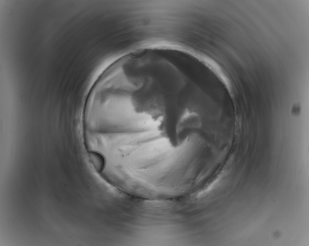 X0000100970863200807151350