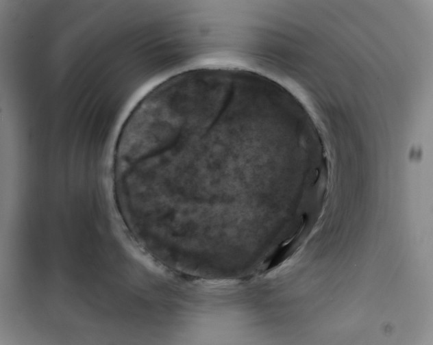X0000100970864200807151350