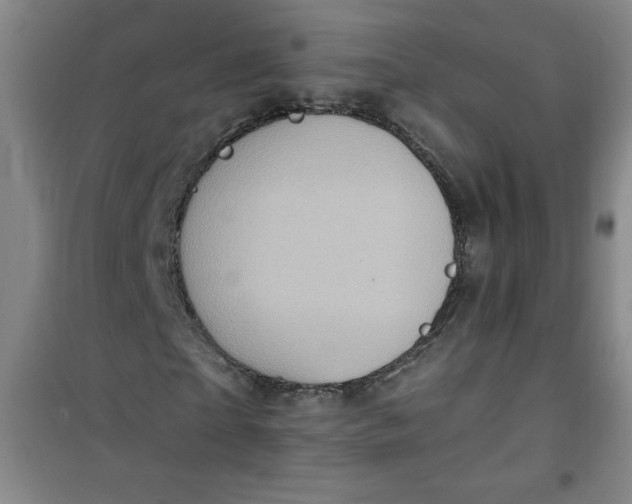 X0000100970865200807151349
