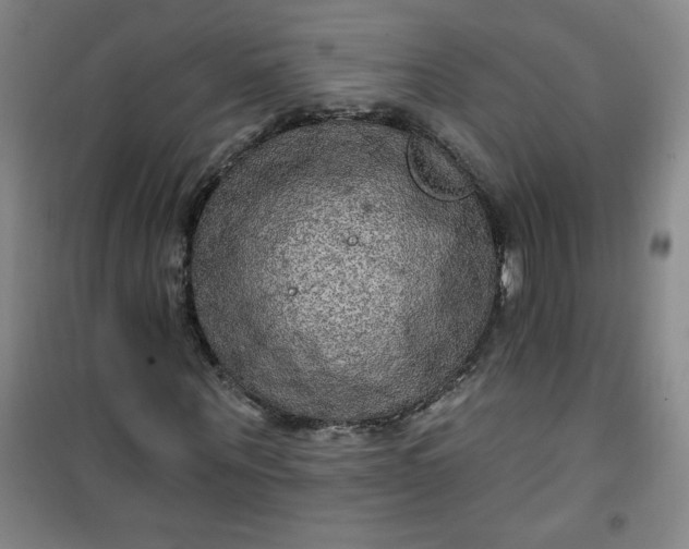 X0000100970867200807151349