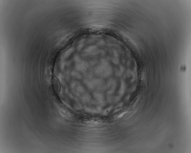 X0000100970868200807151349