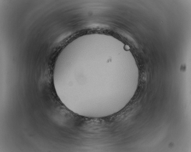X0000100970869200807151349