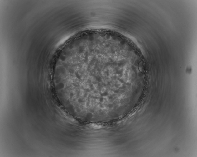 X0000100970871200807151349