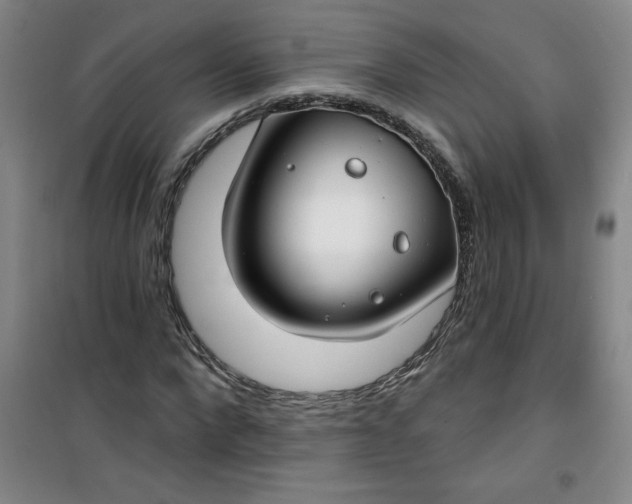 X0000100970872200807151349