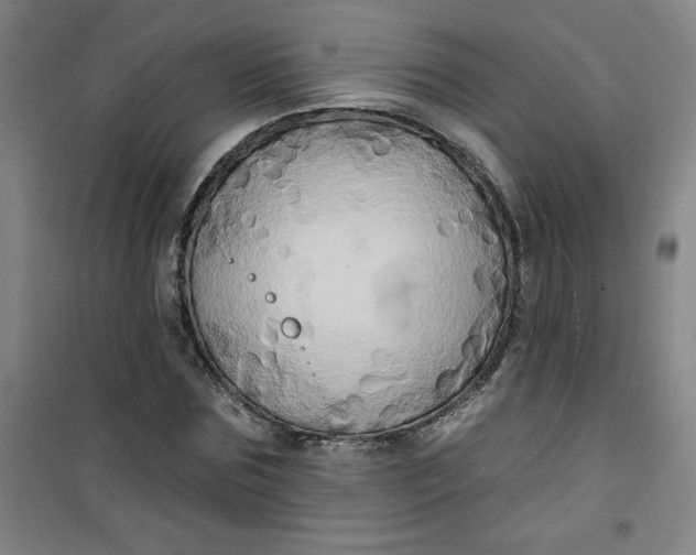 X0000100970875200807151349