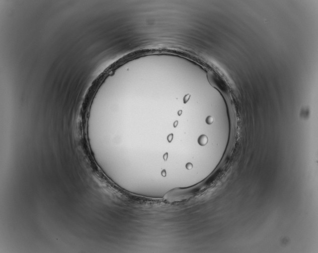 X0000100970876200807151349