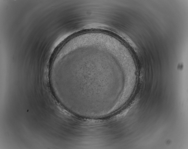 X0000100970877200807151349