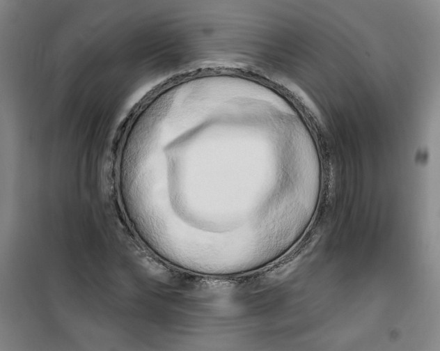 X0000100970878200807151349
