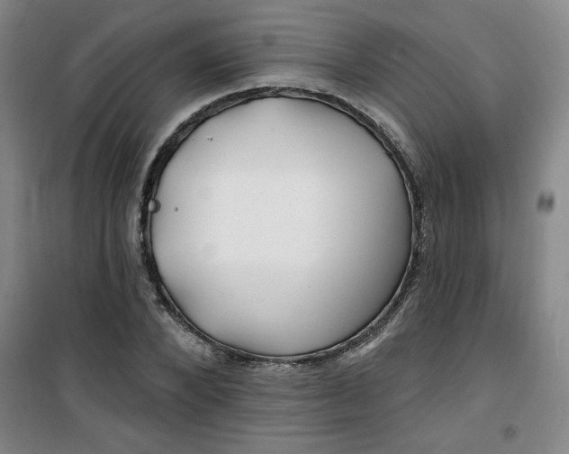 X0000100970880200807151349