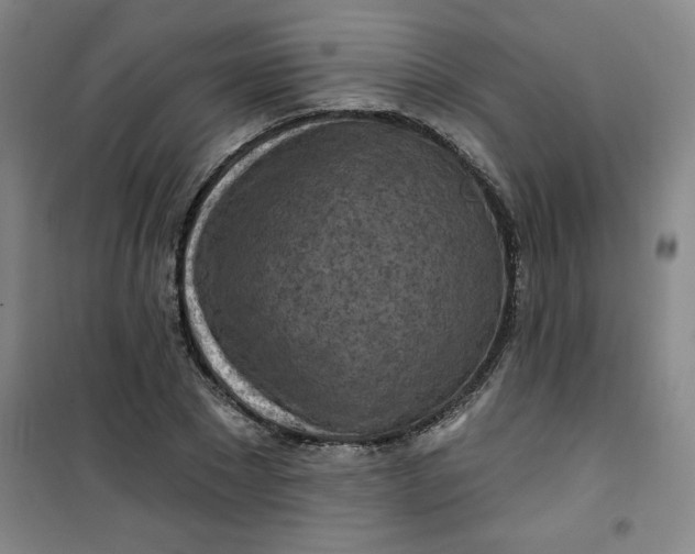 X0000100970881200807151349