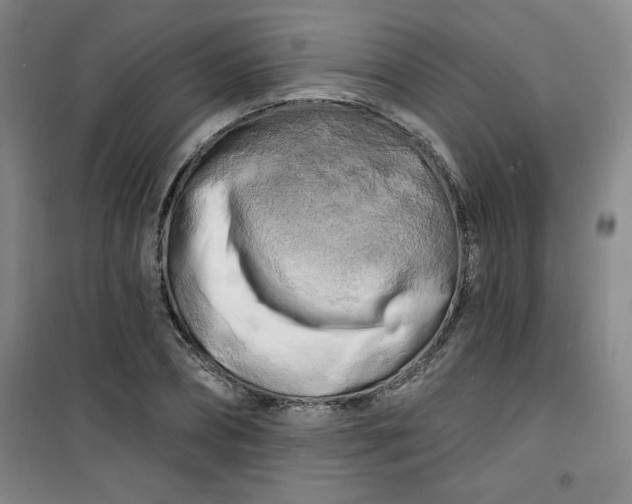 X0000100970882200807151349