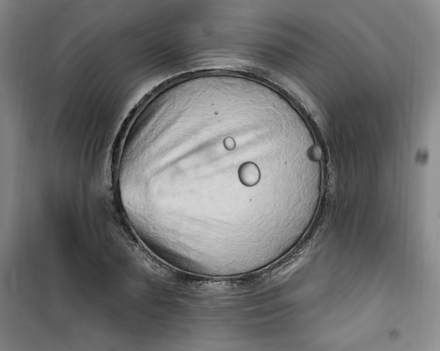 X0000100970883200807151349