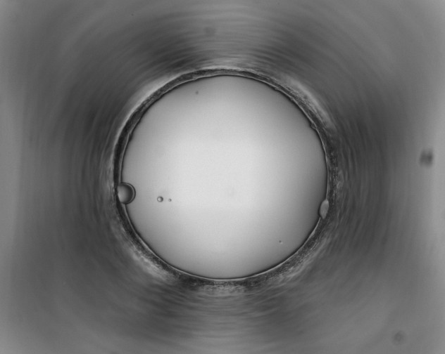 X0000100970884200807151349