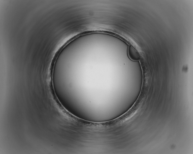 X0000100970885200807151349