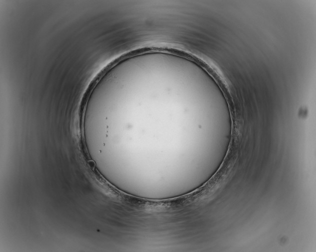 X0000100970887200807151349