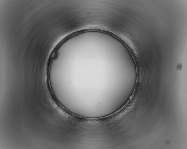 X0000100970888200807151349