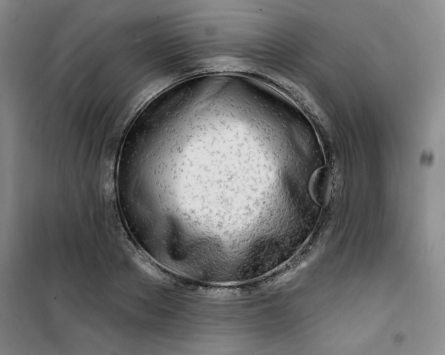 X0000100970889200807151349