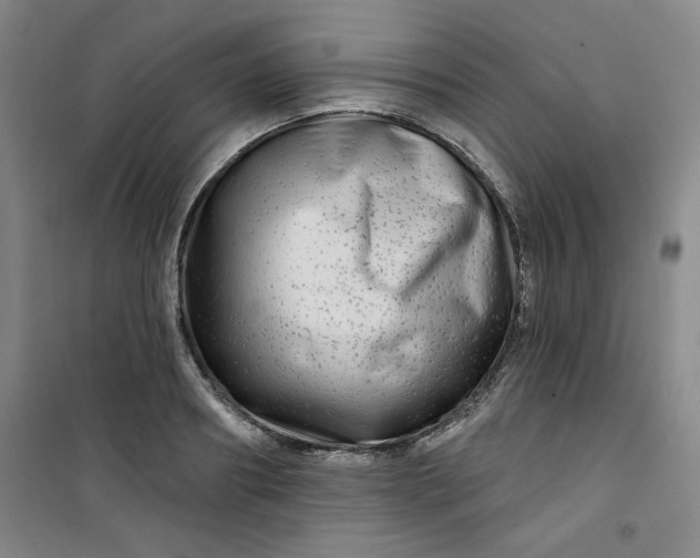 X0000100970890200807151349