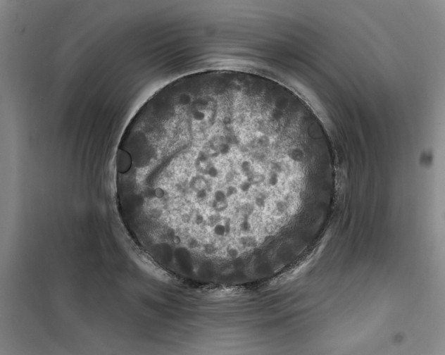 X0000100970891200807151349