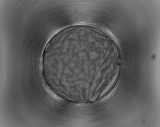 X0000100970892200807151349