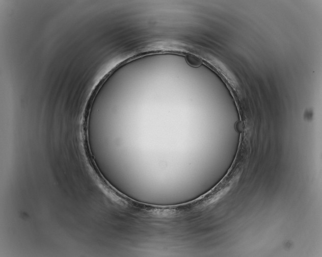 X0000100970893200807151349