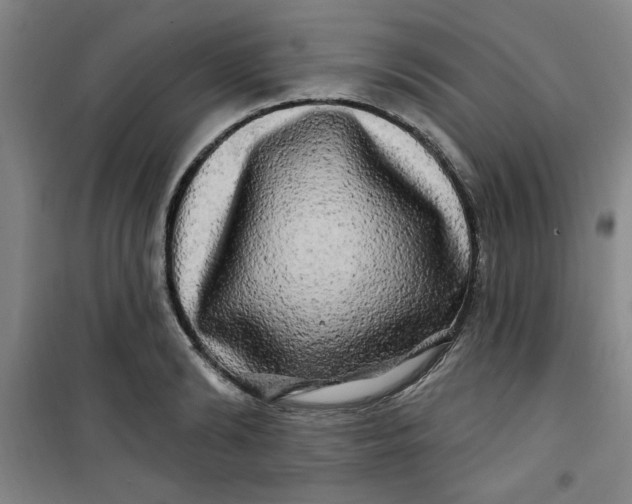 X0000100970894200807151349