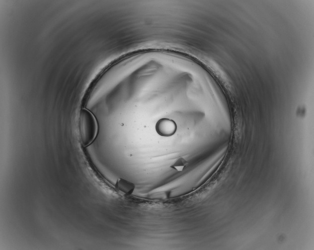 X0000100970896200807151348