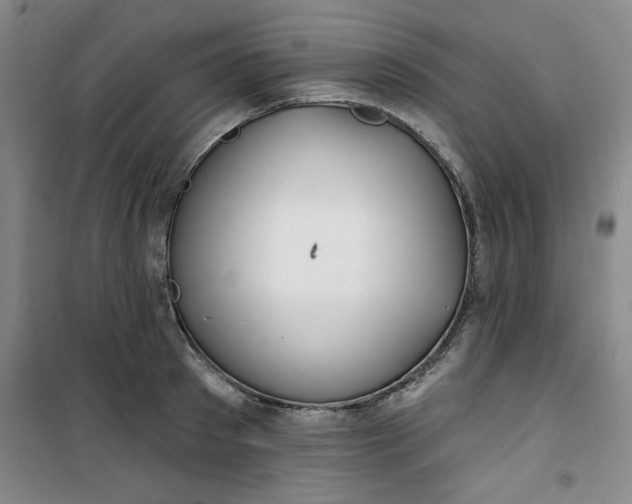 X0000100970897200807151348