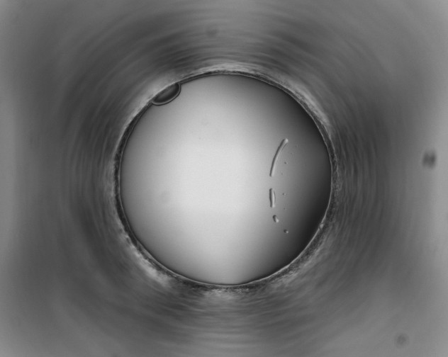 X0000100970898200807151348
