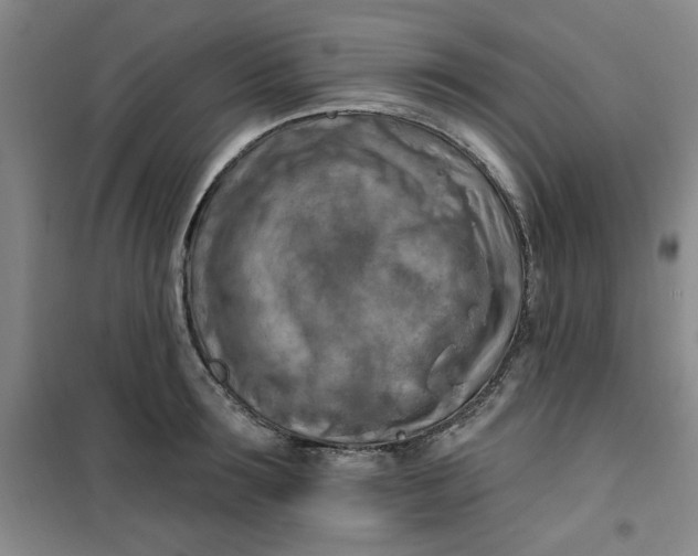 X0000100970899200807151348