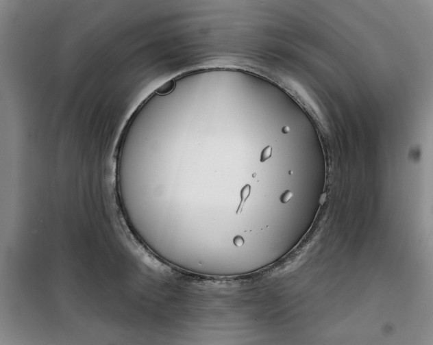 X0000100970900200807151348