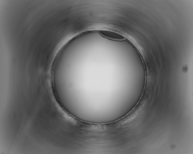 X0000100970901200807151348