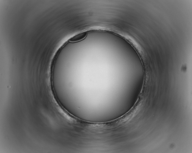 X0000100970902200807151348